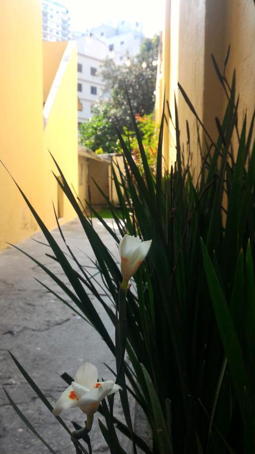 Olah Hostel - Vila Mariana Σάο Πάολο Εξωτερικό φωτογραφία