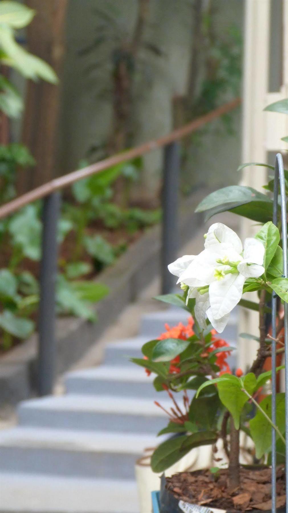Olah Hostel - Vila Mariana Σάο Πάολο Εξωτερικό φωτογραφία
